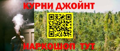 гидра Малгобек
