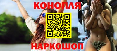 гидра Малгобек