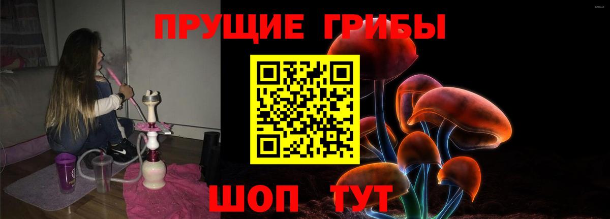 Иваново  Галлюциногенные грибы Psilocybine cubensis  Галлюциногенные грибы прущие грибы  Вход с VPN 